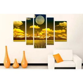 Camp in clar de luna 7284