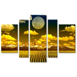 Camp in clar de luna 7284