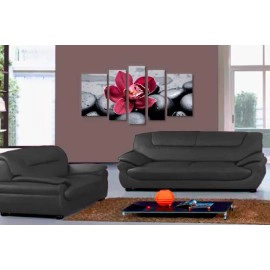 Orhidee feng shui 1901