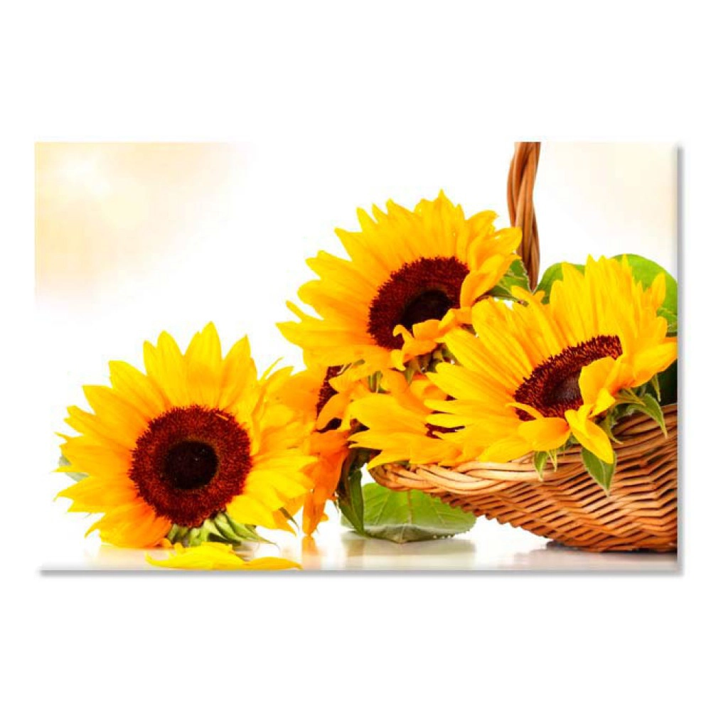 Floarea soarelui 6944