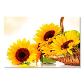 Floarea soarelui 6944