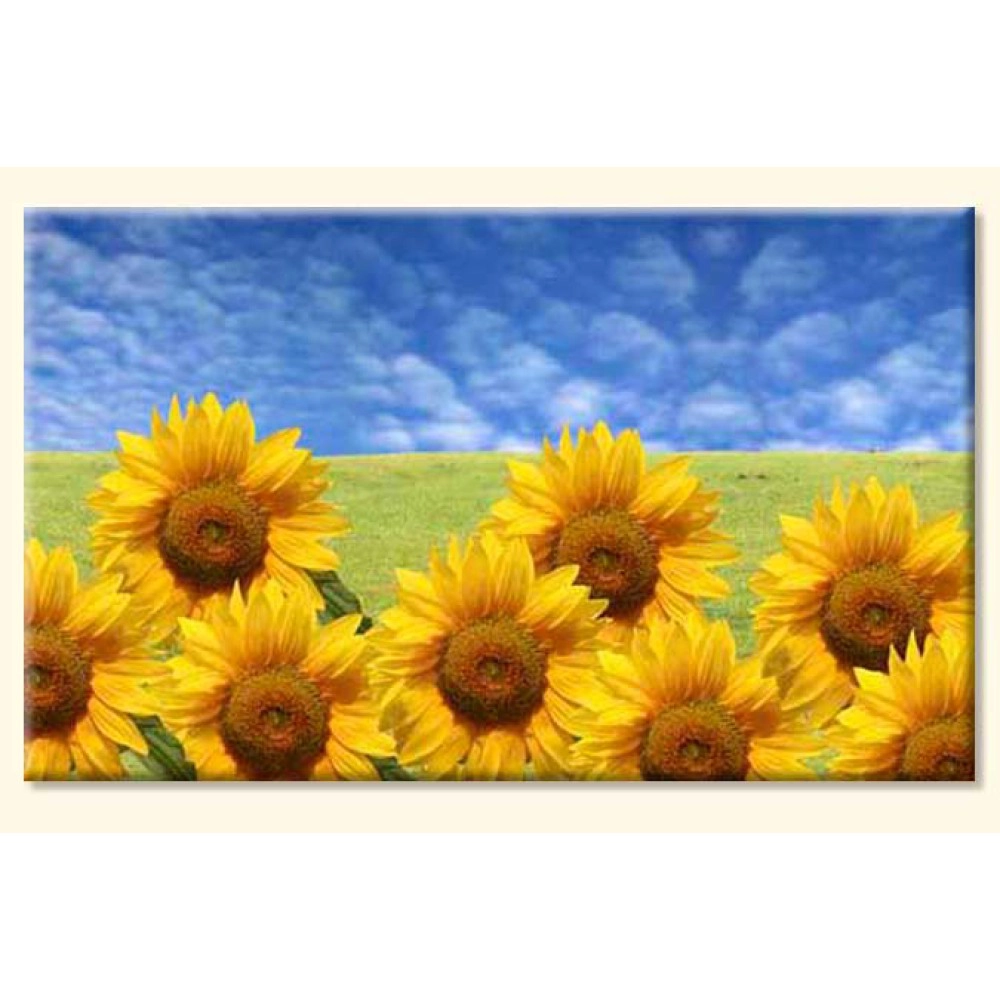 Tablouri f.soarelui 2120