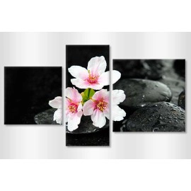 Flori de cires relax 7522