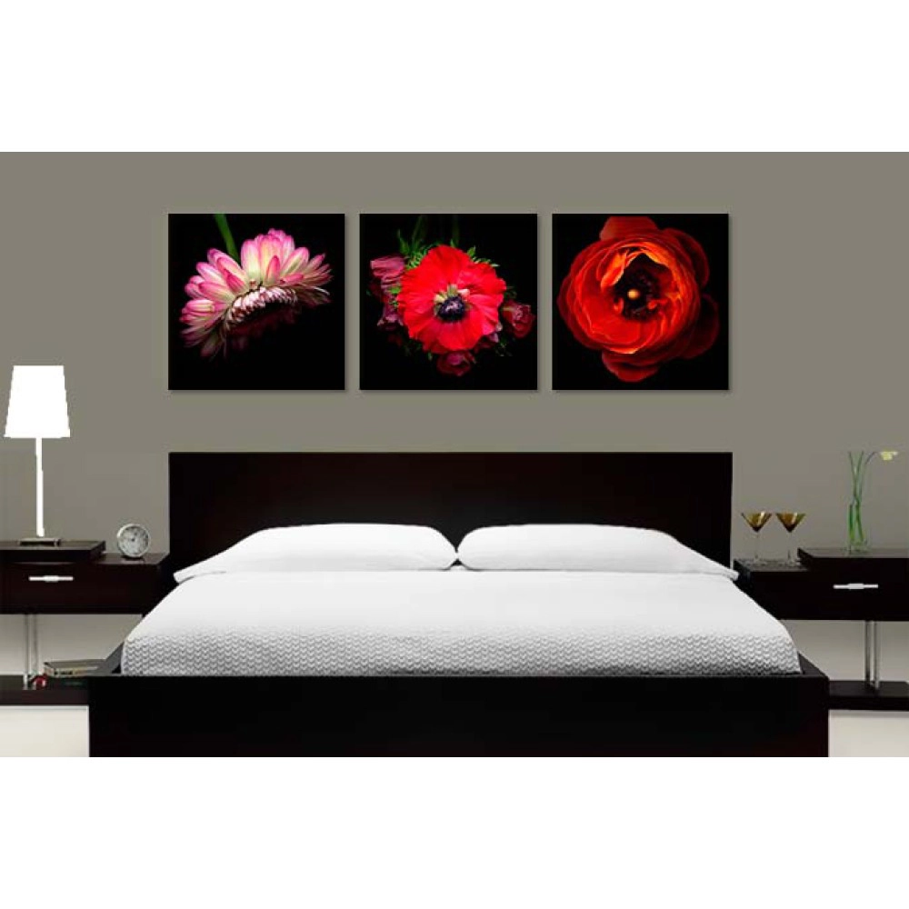 Flori close-up 67322