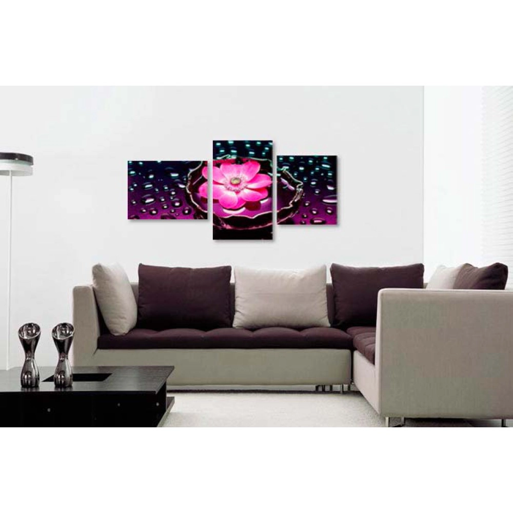 Floare si stropi 17648