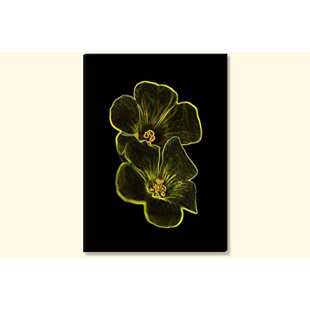 Tablouri vector 2313