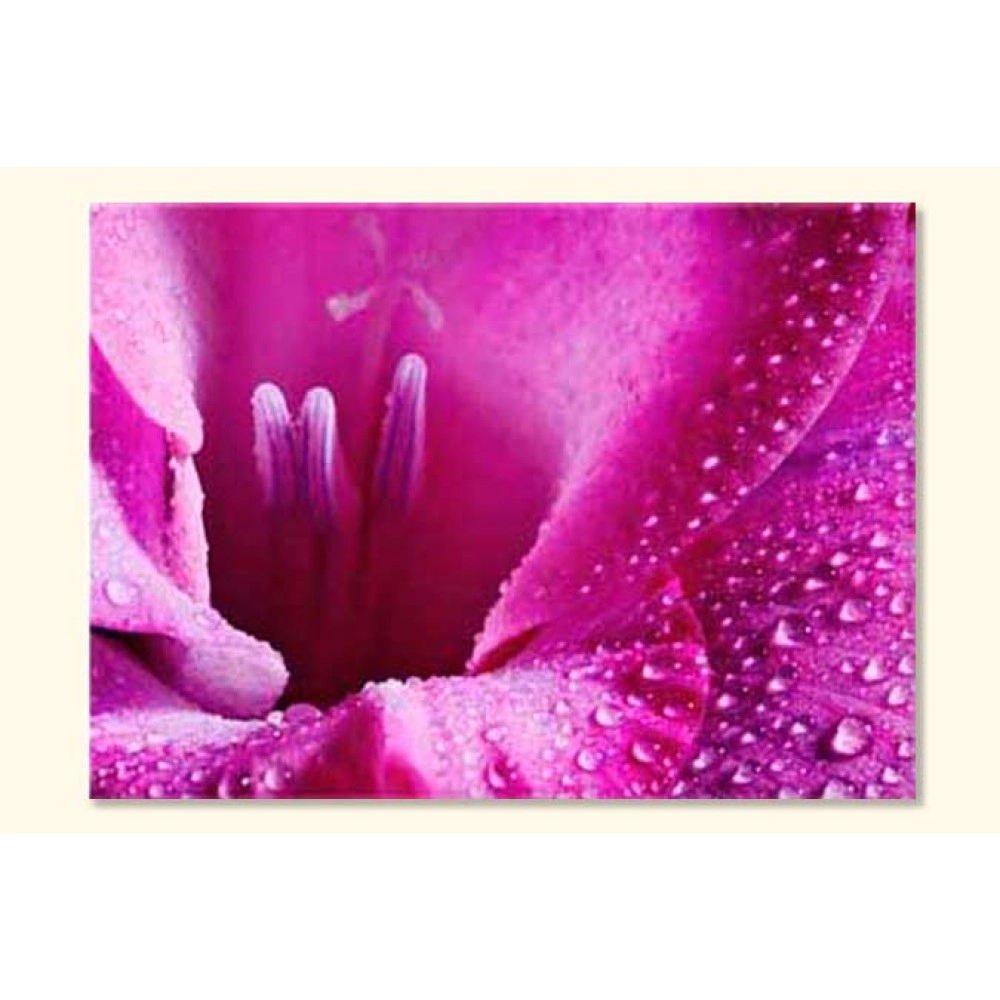 Tablouri Pink Fl. 4032