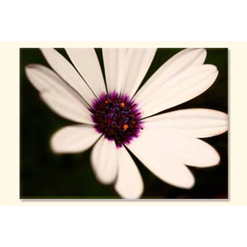 Tablouri Margareta 5323