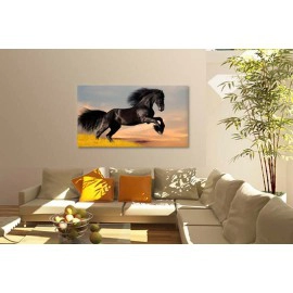 Cal rasa Friesian 1920