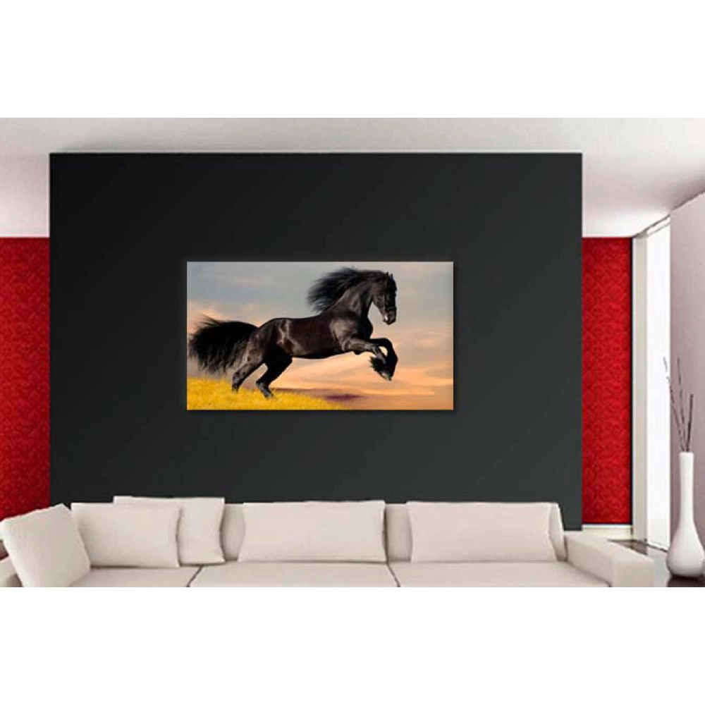 Cal rasa Friesian 1920