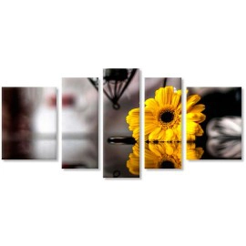 Gerbera galbena 2158