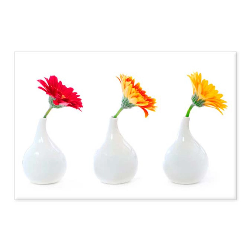 Tablou Gerbera 22017