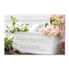 Gradina bunicii 65115