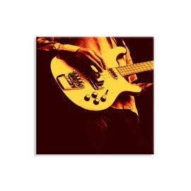 Tablouri chitara 2723