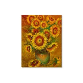 Haloiu Fl. soarelui 5065