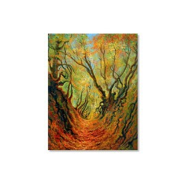 Haloiu padure pustie 50651