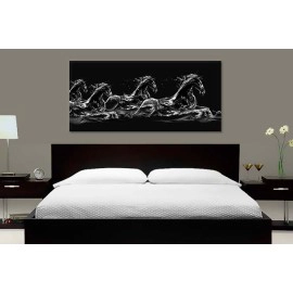 Cai salbatici in apa 17212