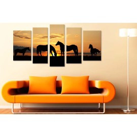 Cai in asfintit 10991