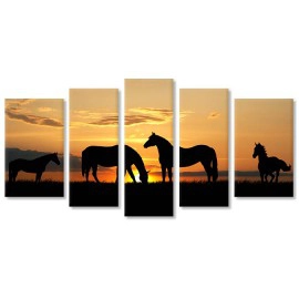 Cai in asfintit 10991