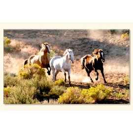 Tablouri Horses 34431