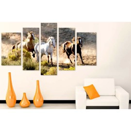 Cai in alergare 3431