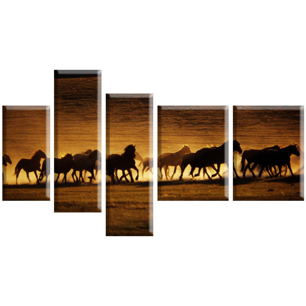 Tablouri Horses 3616