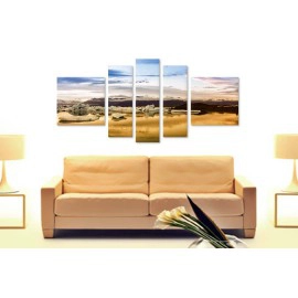 Asfintit de gheata 7246