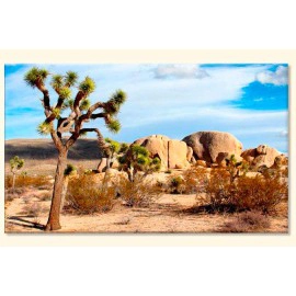 Tablouri Joshua 74399