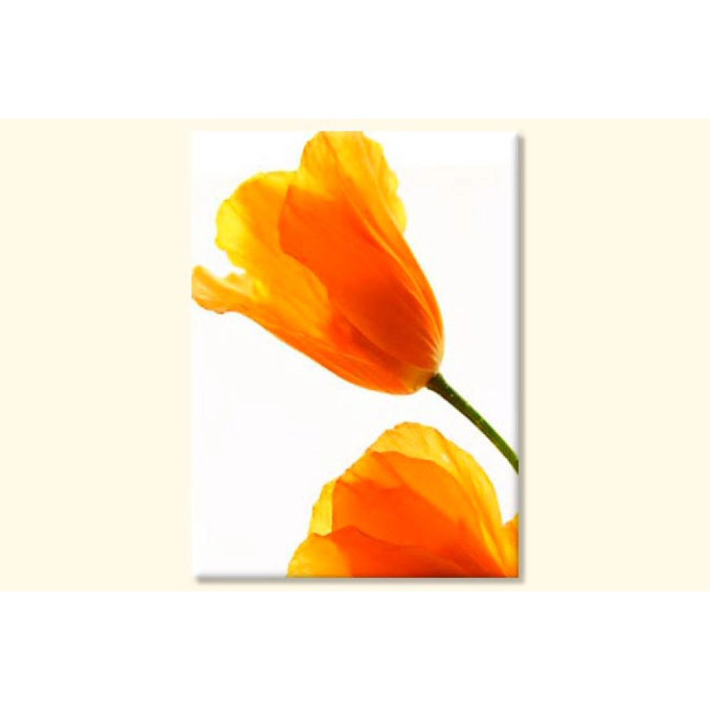 Tablouri Lalele 4149