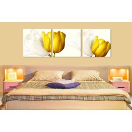 Lalele albe si galbene 22087