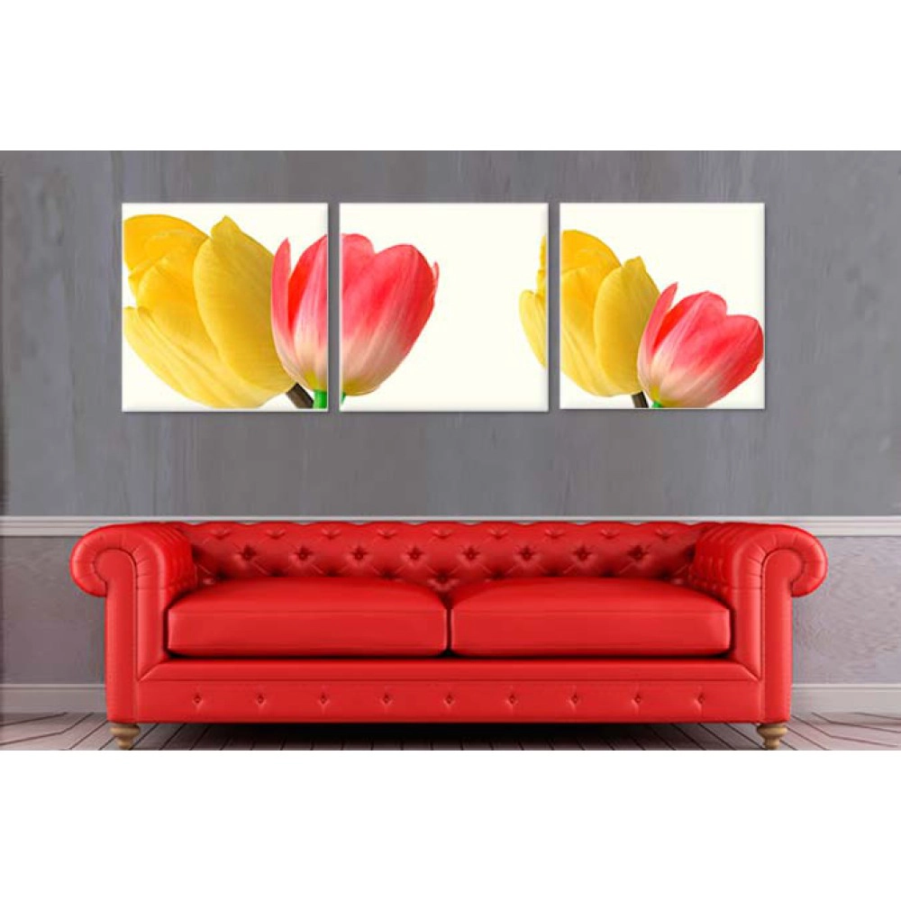 Lalele galbene si rosii 2209