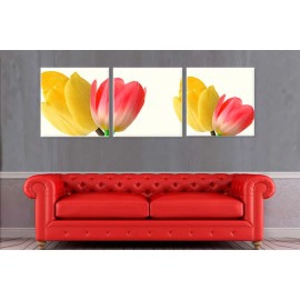 Lalele galbene si rosii 2209