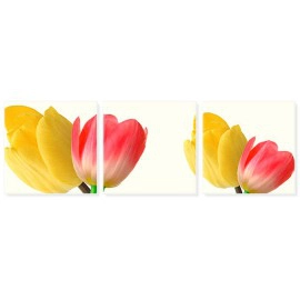 Lalele galbene si rosii 2209