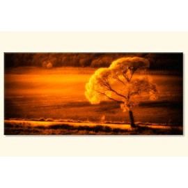 Tablouri Landscape 73627