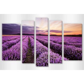 Tablouri moderne Lavanda 6022