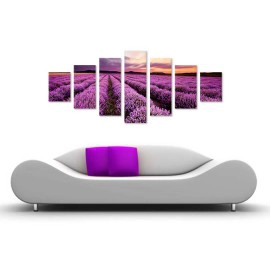 Lavanda la apus 6722