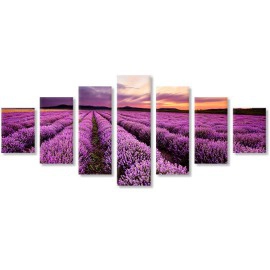 Lavanda la apus 6722