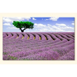 Tablouri Lavanda 33083