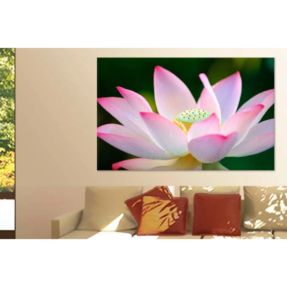 Tablouri lotus 26708