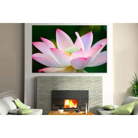 Tablouri lotus 26708