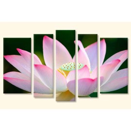 Tablouri lotus 2608