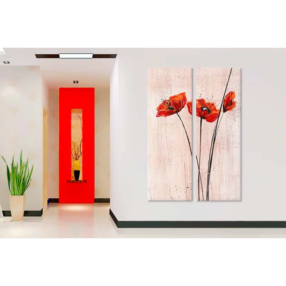 Maci infloriti 55778