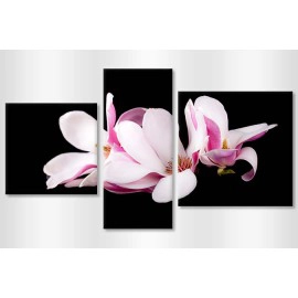 Tablouri decorative magnolia 10814