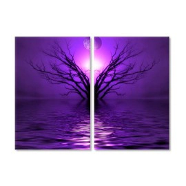 Copac abstract 26443