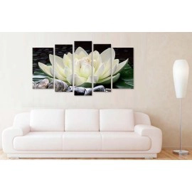 Nufar zen si pietre 17469