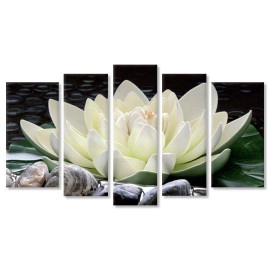 Nufar zen si pietre 17469