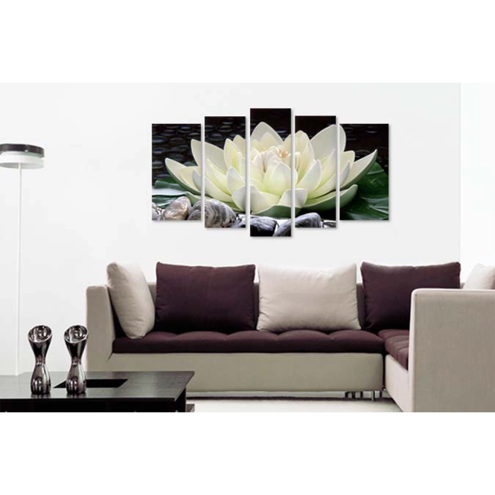 Nufar zen si pietre 17469