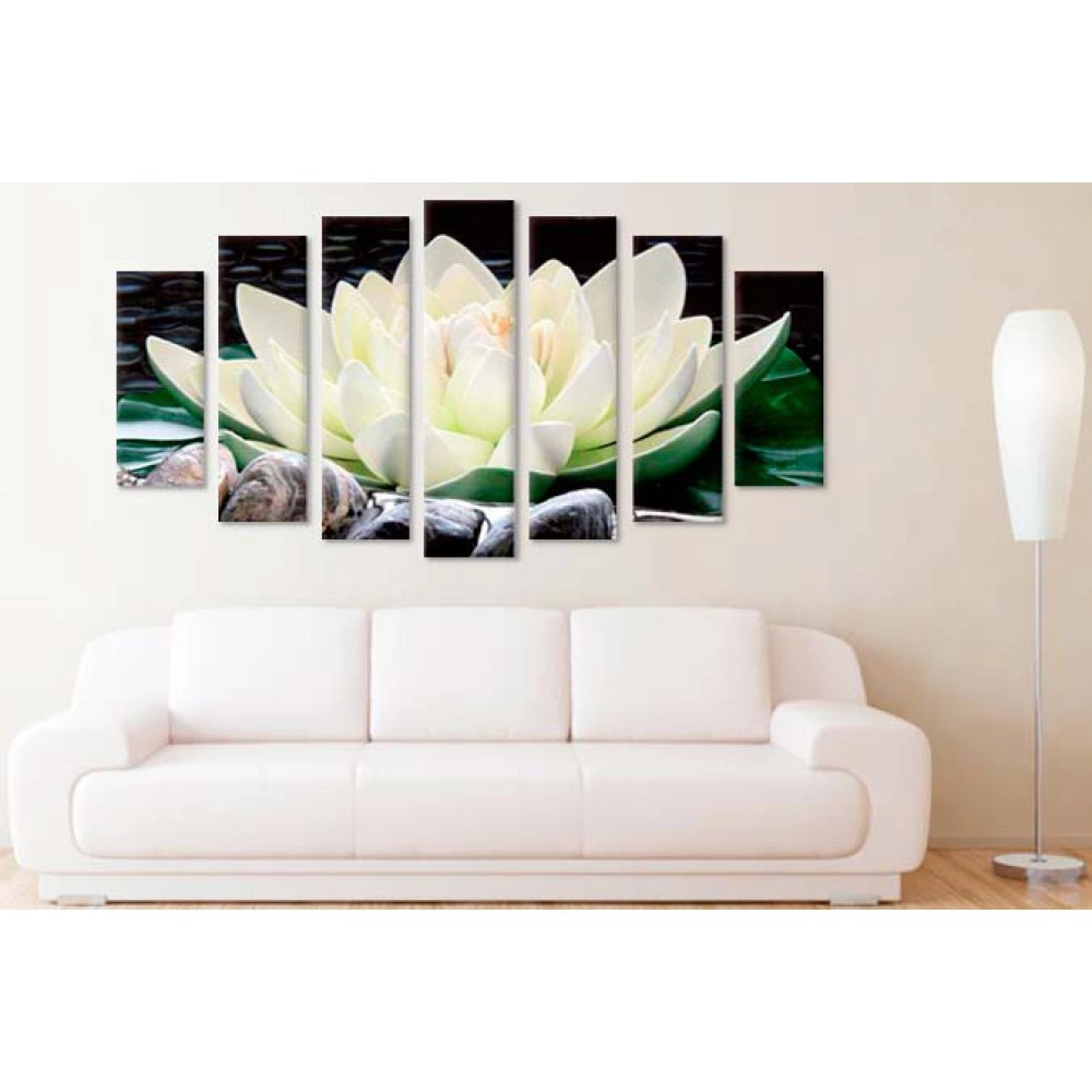 Nufar pe pietre 1769