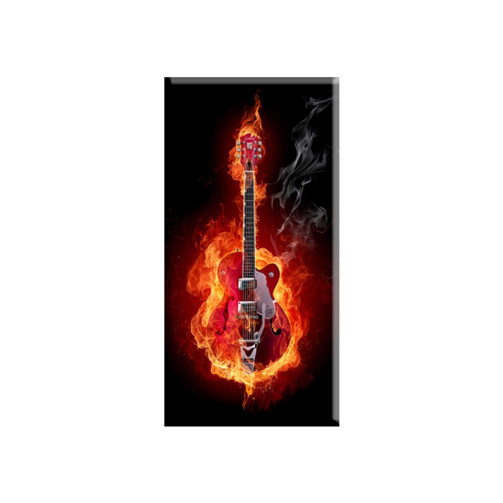 Tablouri guitar 72210