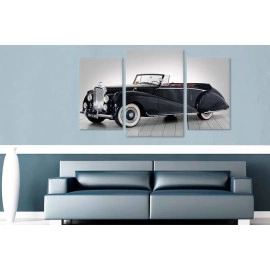 Tablouri canvas masina 4121